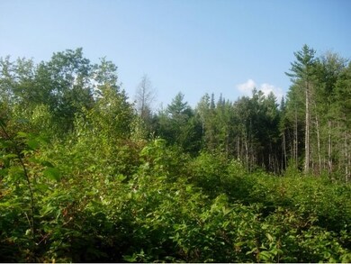 0 Canaan St unit 4022096, Canaan, NH 03741 - photo 2