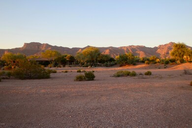 3873 S Gambel Quail Way unit 14, Gold Canyon, AZ 85118 - photo 4