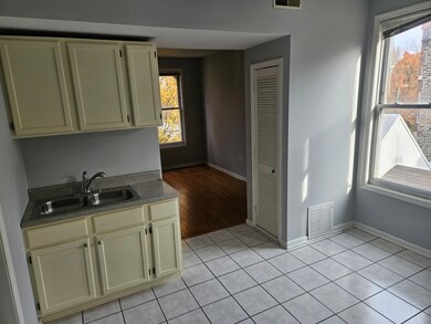 1025 W Cullerton St unit 3F, Chicago, IL 60608 - photo 3