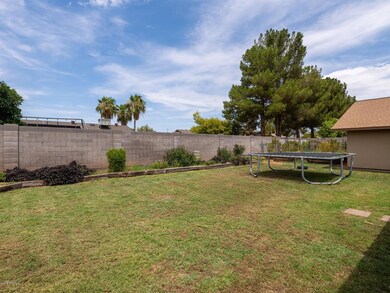 Spacious Grass Backyard