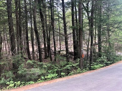 42 Forest Pond Rd unit 42, New Hampton, NH 03256 - photo 3