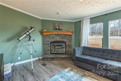 24 Ramona Dr, Leicester, NC 28748 - photo 6