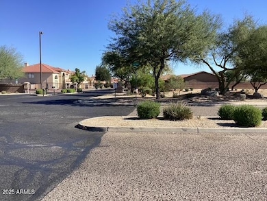 13612 W Windsor Blvd, Litchfield Park, AZ 85340 - photo 6