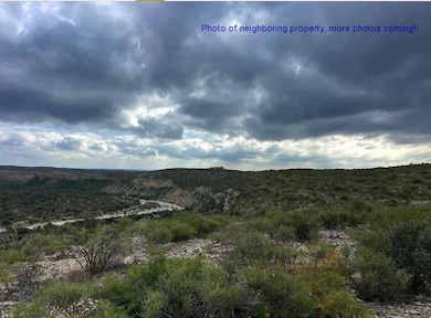 Tract 15-O Indian Creek Ranch, Dryden, TX 78851 - photo 2