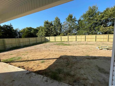 346 Lois Ln, Paragould, AR 72450 - photo 7