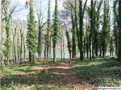 8983 Jade Lake Rd W, Pinson, AL 35126 - photo 2