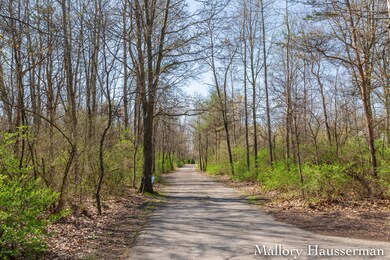 13259 Burroughs St NE, Lowell, MI 49331 - photo 3
