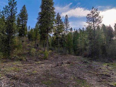 Lot 17 Trail Creek Ct, Placerville, ID 83666 - photo 7