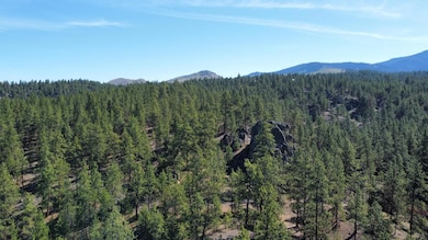 Photo_6553641_DJI_41_jpg_4204078_0_20216