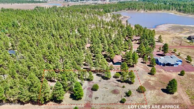 210 N Stoneman Blvd, Williams, AZ 86046 - photo 4