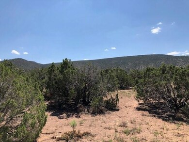 10 Diamond Tail Rd, Placitas, NM 87043 - photo 6