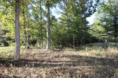 Mature timber included. 