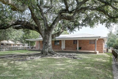 Beautiful tree shading the front yard