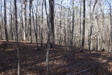 216 Erick Lane