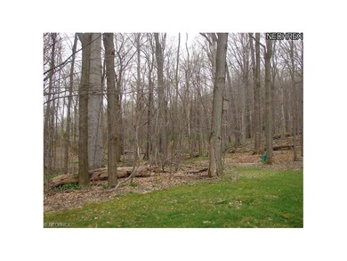 Back yard is like living on the edge of a metro park