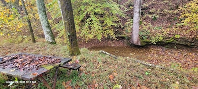 1121 Breeding Rd, Edmonton, KY 42129 - photo 2