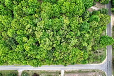 0 13th Ave unit 3 25034383, South Haven Charter Township, MI 49090 - photo 5