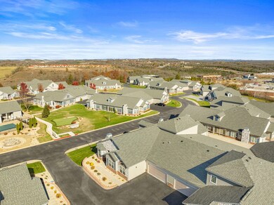 131 Rue De Villas Cir, Branson, MO (5)