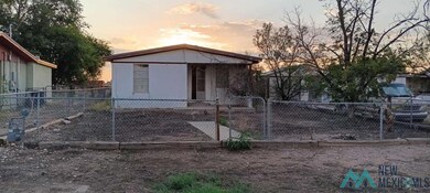 5005 Bannister Rd, Carlsbad, NM 88220 - photo 3