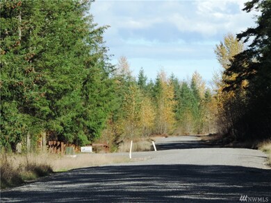 11 Starflower Ln SE, Yelm, WA 98597 - photo 7