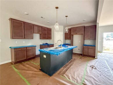 350 Flying Bolt Dr, Five Points, NC 28376 - photo 5