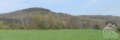 0 Labranch unit 20252234, Hillsdale, NY 12529 - photo 5