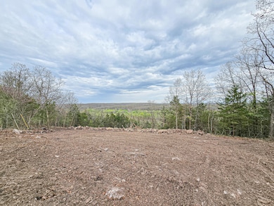 Tract 2 Easy St, Green Township, MO - photo 6