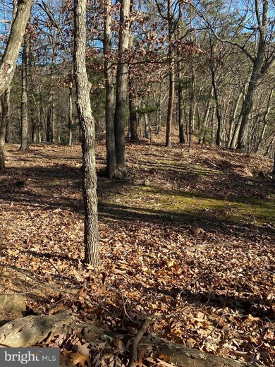 LOT 237 Ridge View Rd, Moorefield, WV 26836 - photo 5