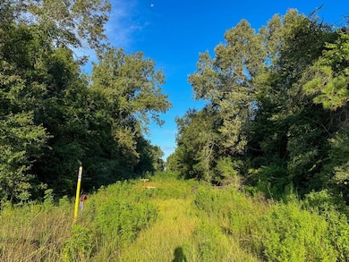 0 Edgerly Rd unit 24516946, Dequincy, LA 70633 - photo 6