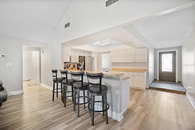 1909 Dove Field Place, Brandon, FL 33510 - photo 6