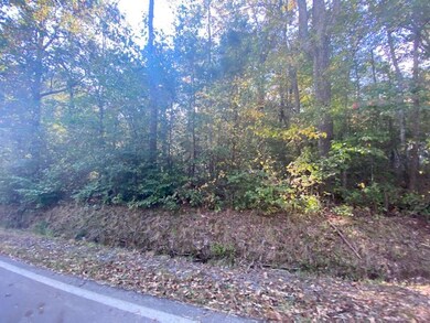 IMG_1911_1602810745758