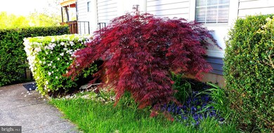 13815 Laura Ratcliff Ct, Centreville, VA 20121 - photo 2