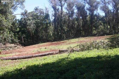 125 Ehu Rd unit E, Makawao, HI 96768 - photo 2