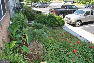 208 Cannon Ct, Strasburg, VA 22657 - photo 4