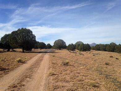 17 Wagon Tree Rd, Ash Fork, AZ 86320 - photo 5