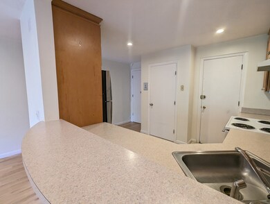 15 Walbridge St unit 31, Allston, MA 02134 - photo 5