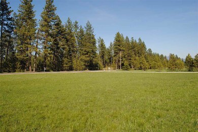 916 E Chattaroy Rd, Colbert, WA 99005 - photo 3