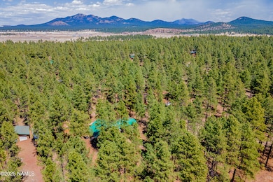 7621 E Jolly Rogue Ln, Williams, AZ 86046 - photo 6