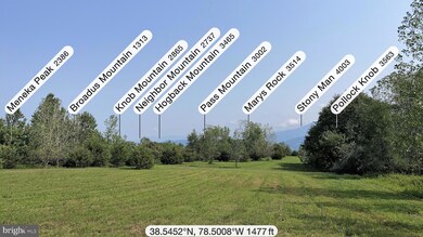 0 Pine Grove Rd unit VAPA2002042, Stanley, VA 22851 - photo 4