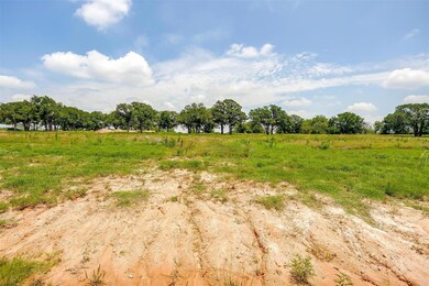 1036 Estancia Blvd, Weatherford, TX 76088 - photo 6