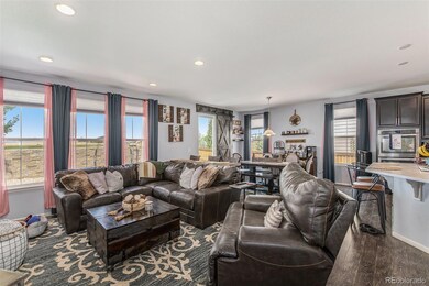 Family Room/Dining Room/Kitchen Space