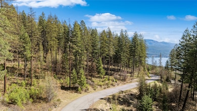 NHN Tract 2 Wolf Tail Pines Rd, Whitefish, MT 59937 - photo 3