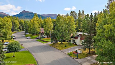 Pioneer Drive