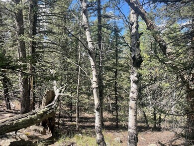 169 Ithaca Ln, Como, CO 80432 - photo 3