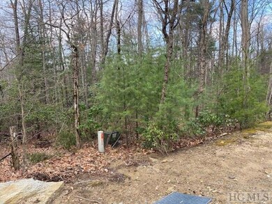 Lot 20 E Ridge Rd, Cashiers, NC 28717 - photo 2