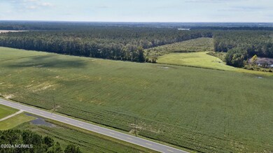 2835 Pikeville-Princeton Rd, Pikeville, NC 27863 - photo 5