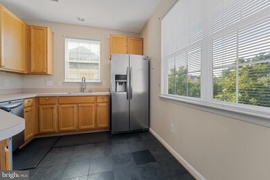9609 Devedente Dr unit 201, Owings Mills, MD 21117 - photo 4