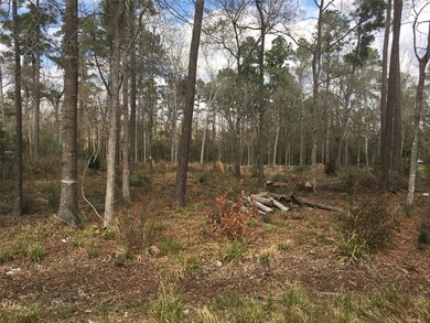 TBD Twin Deer Rd, Conroe, TX 77385 - photo 4