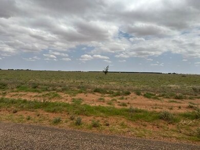0 Cr 280 unit 23809612, Brownfield, TX 79316 - photo 4