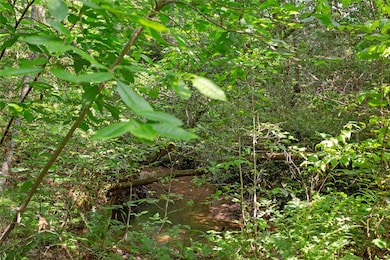 00 Homeland (5 04 Acres) Dr, Mountain  Rest, SC 29664 - photo 7